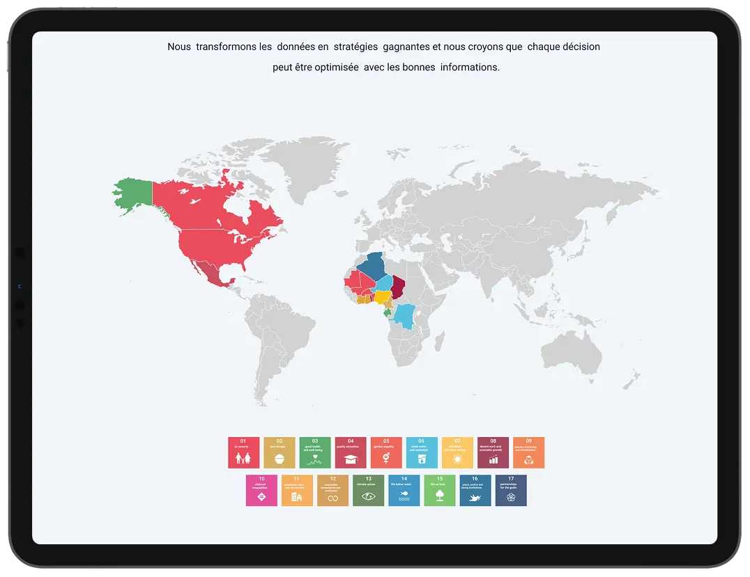 Voir l'image en grand Africa Strategy