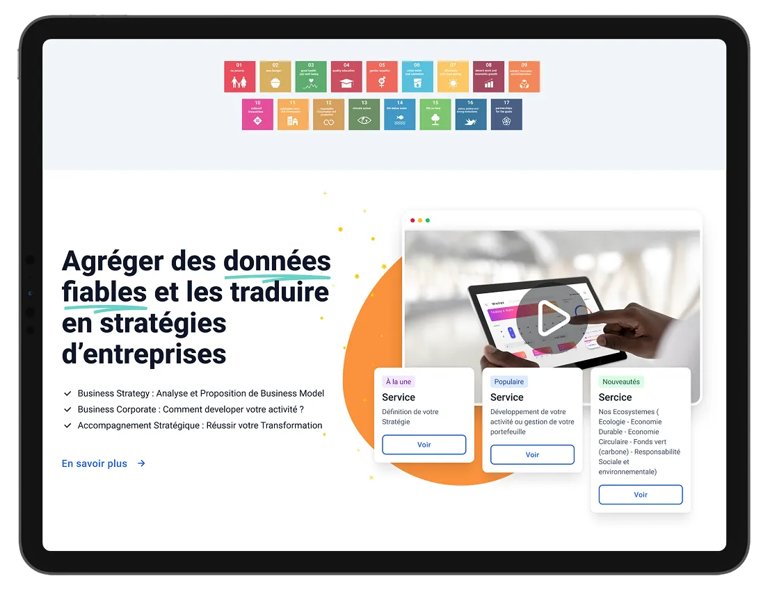 Voir l'image en grand Africa Strategy